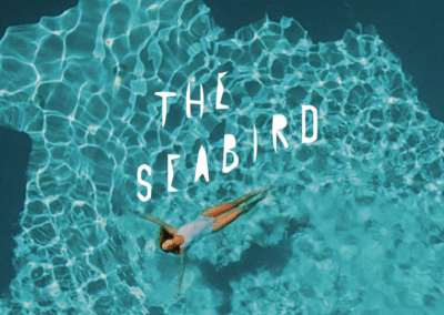 SEABIRD RESORT